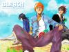 Filename=bleach-wallpaper-2622.jpg
Filesize=207KB
Dimensions=1024x768
Date added=Jun 16, 2007 bleach-wallpaper-2622.jpg