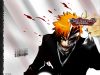 Filename=bleach-wallpaper-2632.jpg
Filesize=359KB
Dimensions=1024x768
Date added=Jun 16, 2007 bleach-wallpaper-2632.jpg