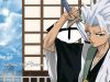 bleach-wallpaper-2902.jpg