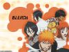 bleach-wallpaper-2905.jpg