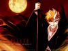 bleach-wallpaper-2949.jpg