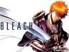 bleach-wallpaper-2999.jpg