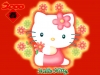 hello_kitty-02.jpg