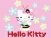 hello_kitty-08.jpg