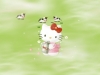 hello_kitty-16.jpg