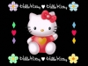 hello_kitty-18.jpg