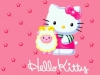 hello_kitty-29.jpg