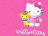 hello_kitty-30.jpg