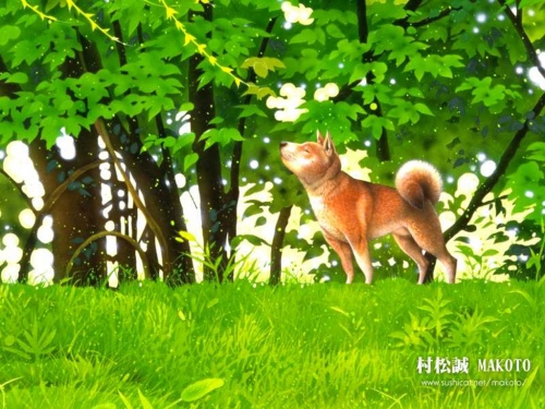 Click to view full size image