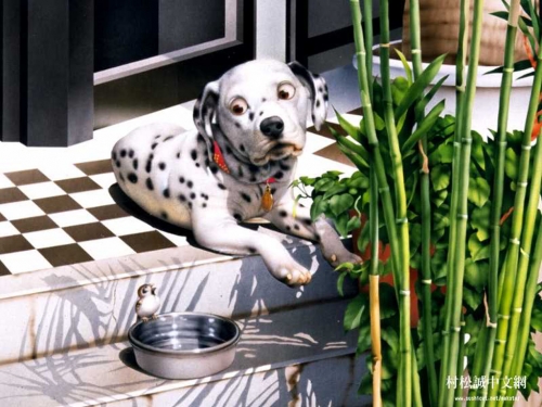 Click to view full size image