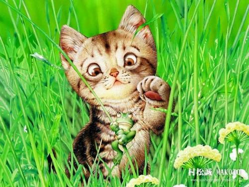 Click to view full size image