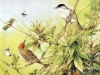 birds-n-flowers-06.jpg