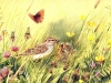 birds-n-flowers-07.jpg