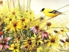 birds-n-flowers-10.jpg
