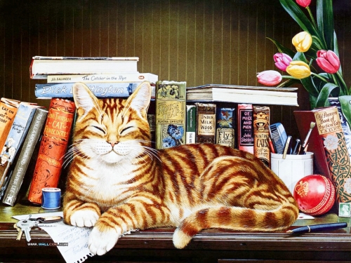 Click to view full size image