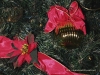 christmas-7-119.jpg