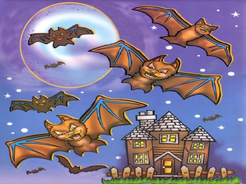 Click to view full size image