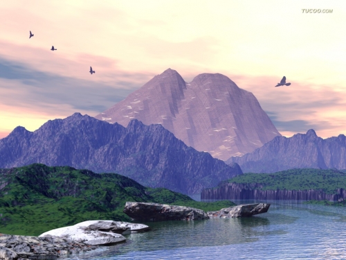 Click to view full size image