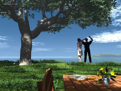 Click to view full size image